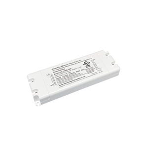 30W Triac Dimmentable LED cung cấp CV 100 Volt AC đến 12V 24V 36V 48V