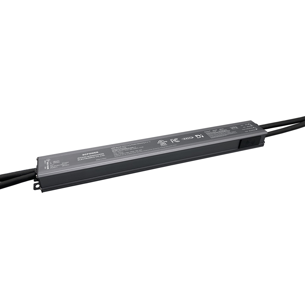 D4P 20W 40W 60W 100W Kɔnstant Kɔrɛnt 12 - 54 24-93 Vɔlt DALI-2 D4i Push Dima Drayva fɔ LED Layt