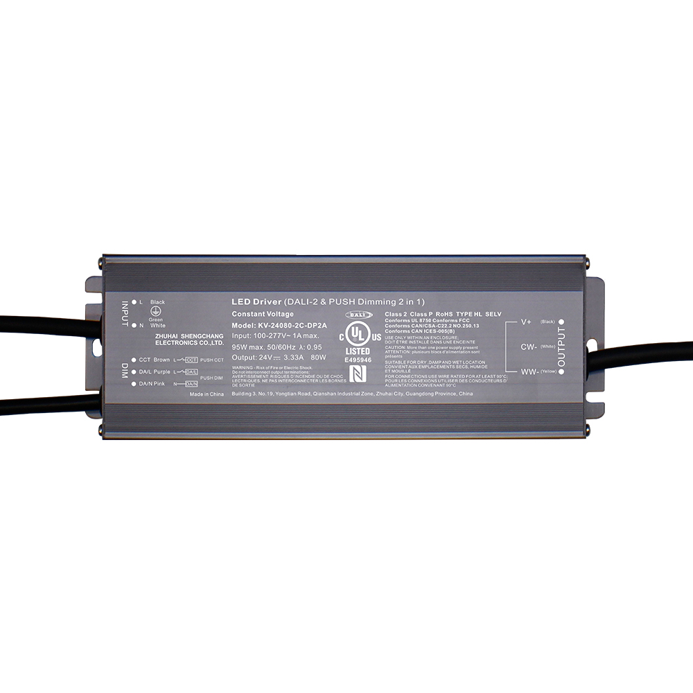 DP2 80W 96W 100W 120W CV RGB CW DALI-2 Push LED-driver 12V 24V 36V 48V DC