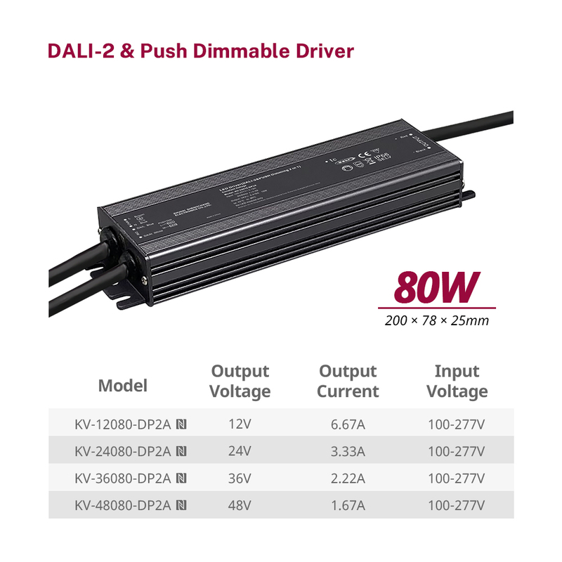 DP2 80W 96W 100W 120W CV RGB CW DALI-2 Push LED ไดร์เวอร์ 12V 24V 36V 48V DC