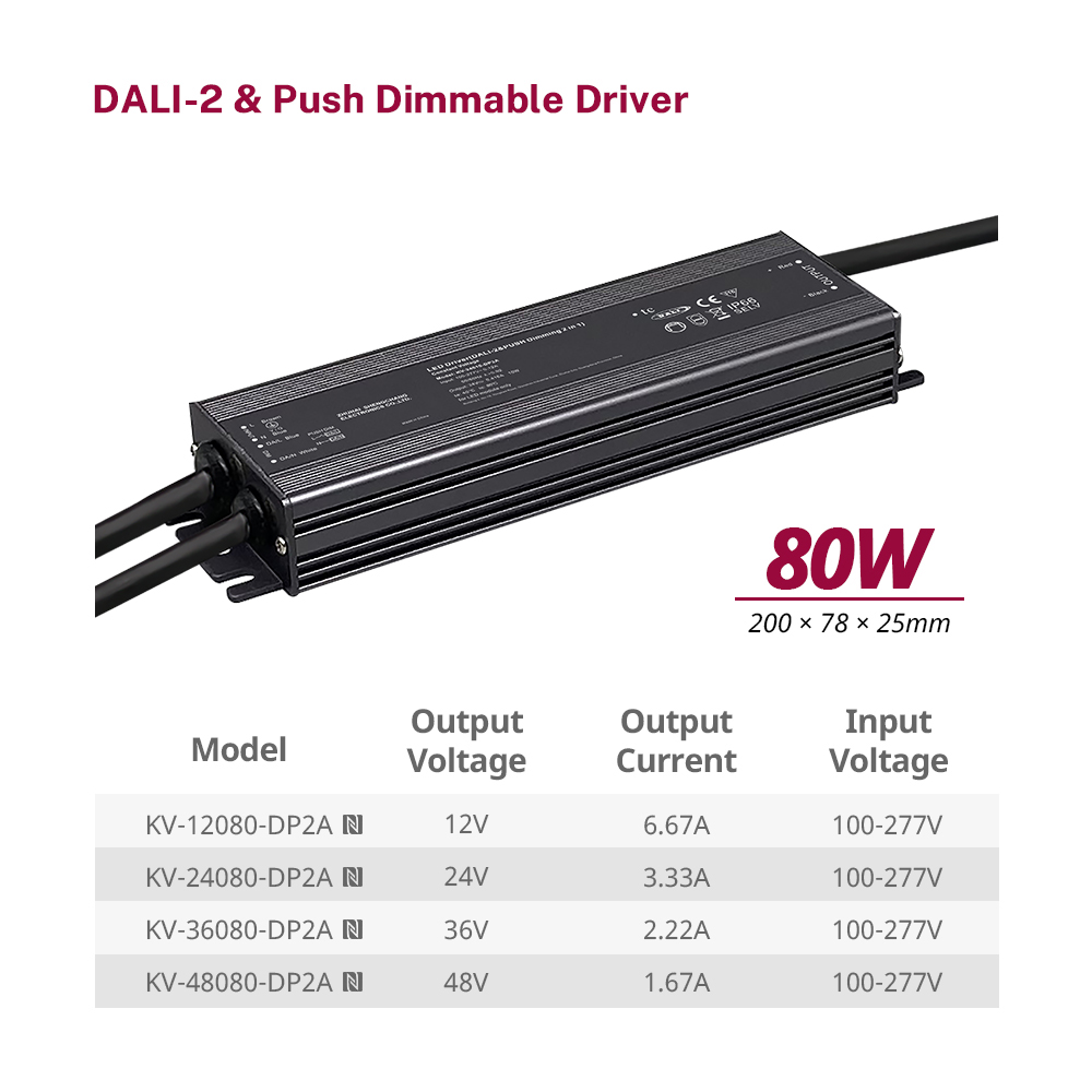 DP2 80W 96W 100W 120W CV RGB CW DALI-2 Push LED ไดร์เวอร์ 12V 24V 36V 48V DC